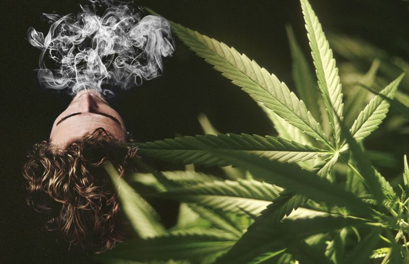 Психологи и конопля марихуана как вырастить дома