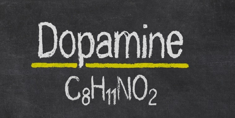 Удовольствие в Ваших руках: повышаем уровень дофамина