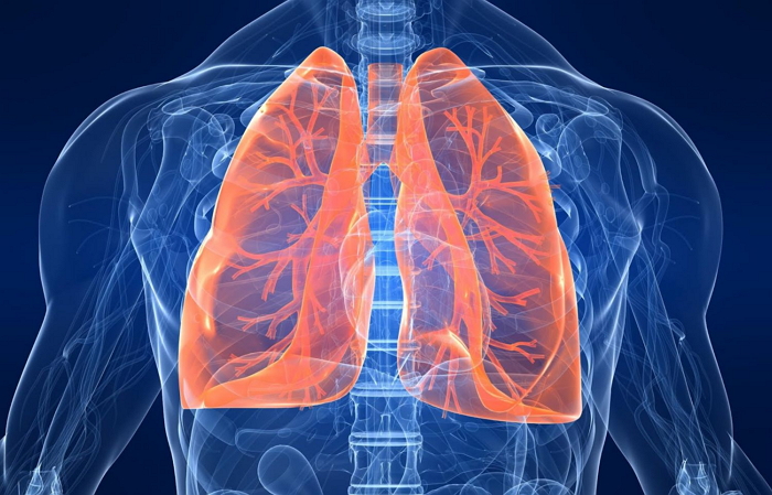 Эмфизема лёгких и аспекты её лечения