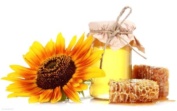 Мед — души услада, все полезные свойства пчелиного нектара
