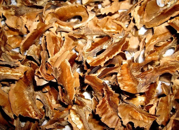 Чудодейственная шелуха — перегородки грецких орехов: лечебные свойства, противопоказания и способы употребления
