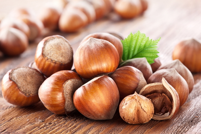 Орехи фундук: польза и вред для здоровья и способы употребления