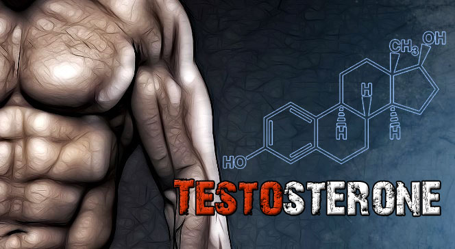 Будь самцом! - эффективные способы повышения тестостерона