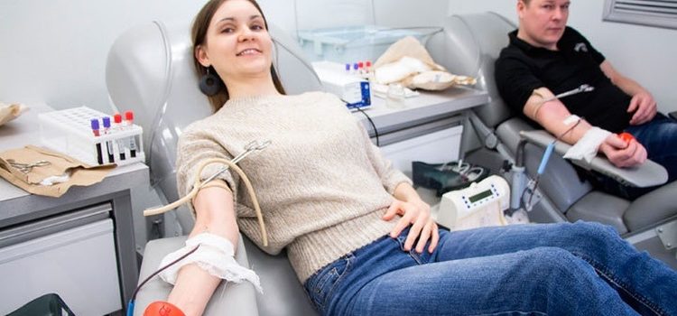 Диета перед сдачей крови и плазмы на донорство — как подготовиться и что делать после процедуры