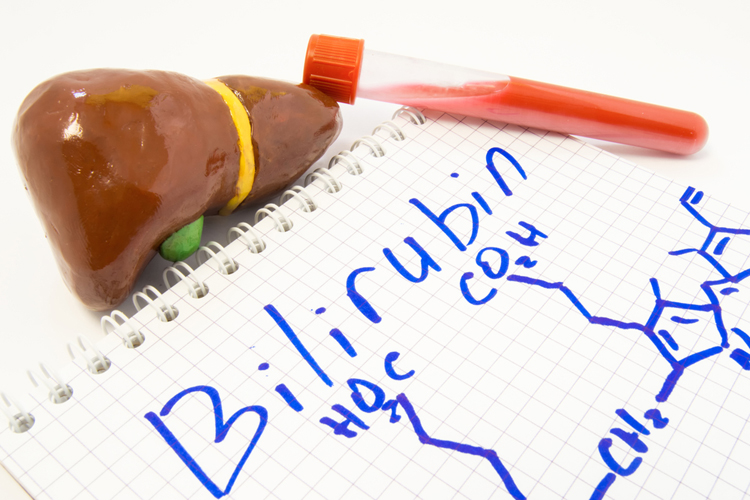 Что такое билирубин, норма билирубина в крови