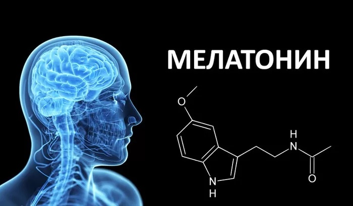 Мелатонин: гормон сна и восстановления